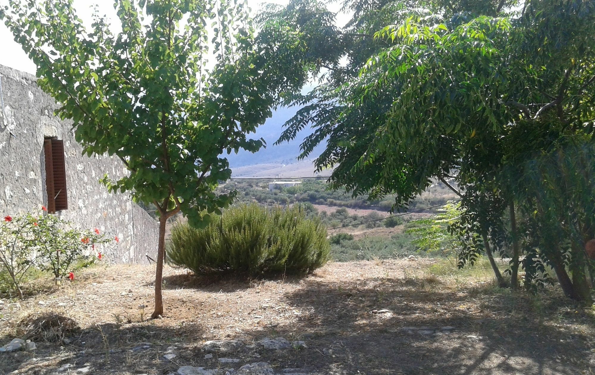 Villa Petra & Elia Megala Chorafia Exterior foto