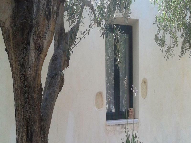 Villa Petra & Elia Megala Chorafia Exterior foto