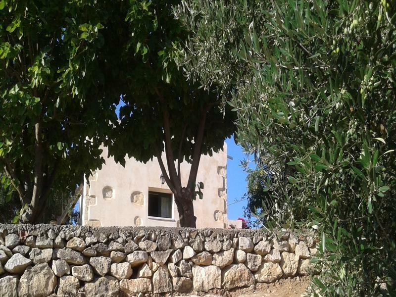 Villa Petra & Elia Megala Chorafia Exterior foto